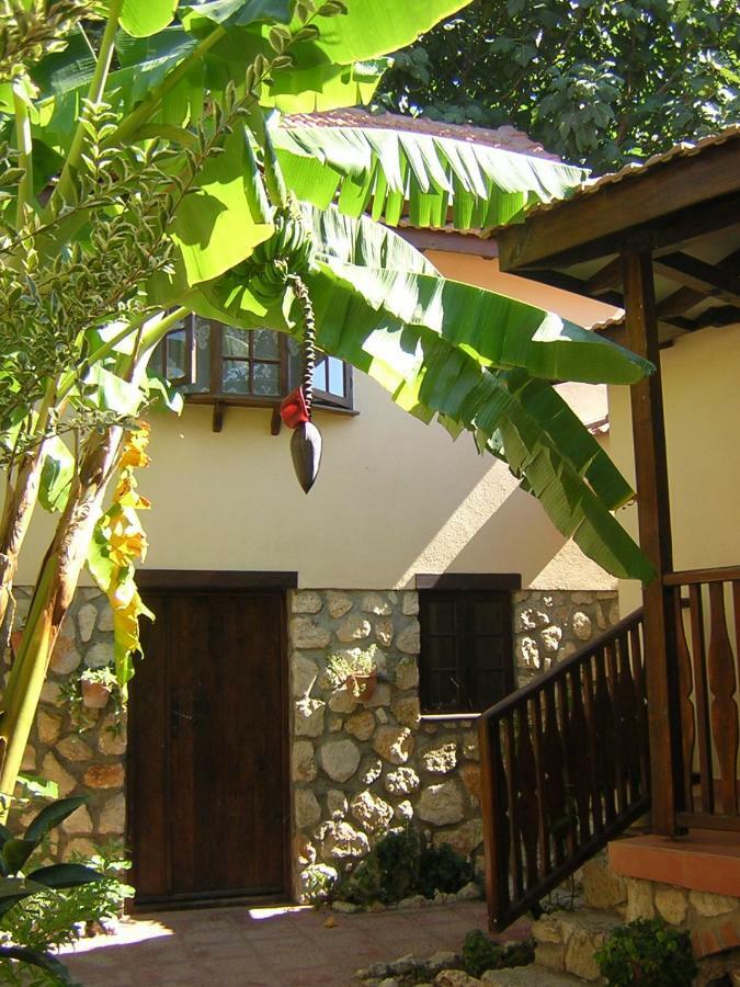 Mountain Lodge Hotel Doger Koyu Exterior foto